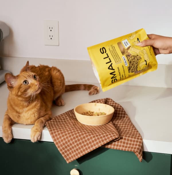 Cat watching human pour Smalls Puffs into bowl